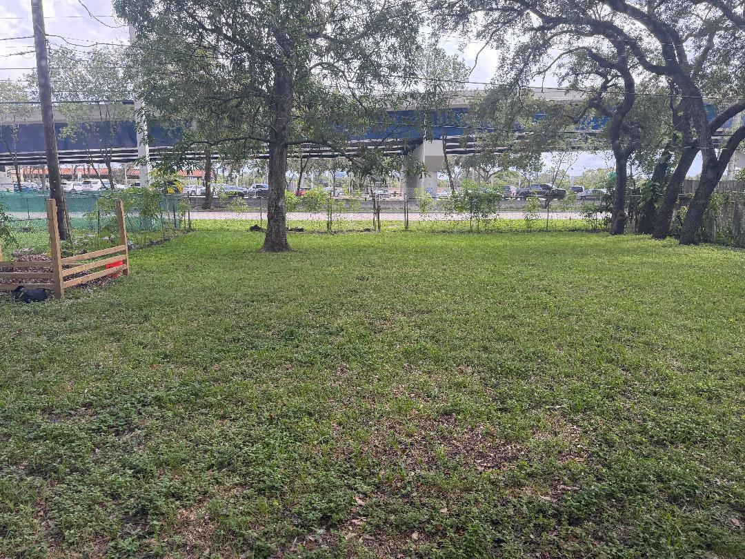 Fenced back yard