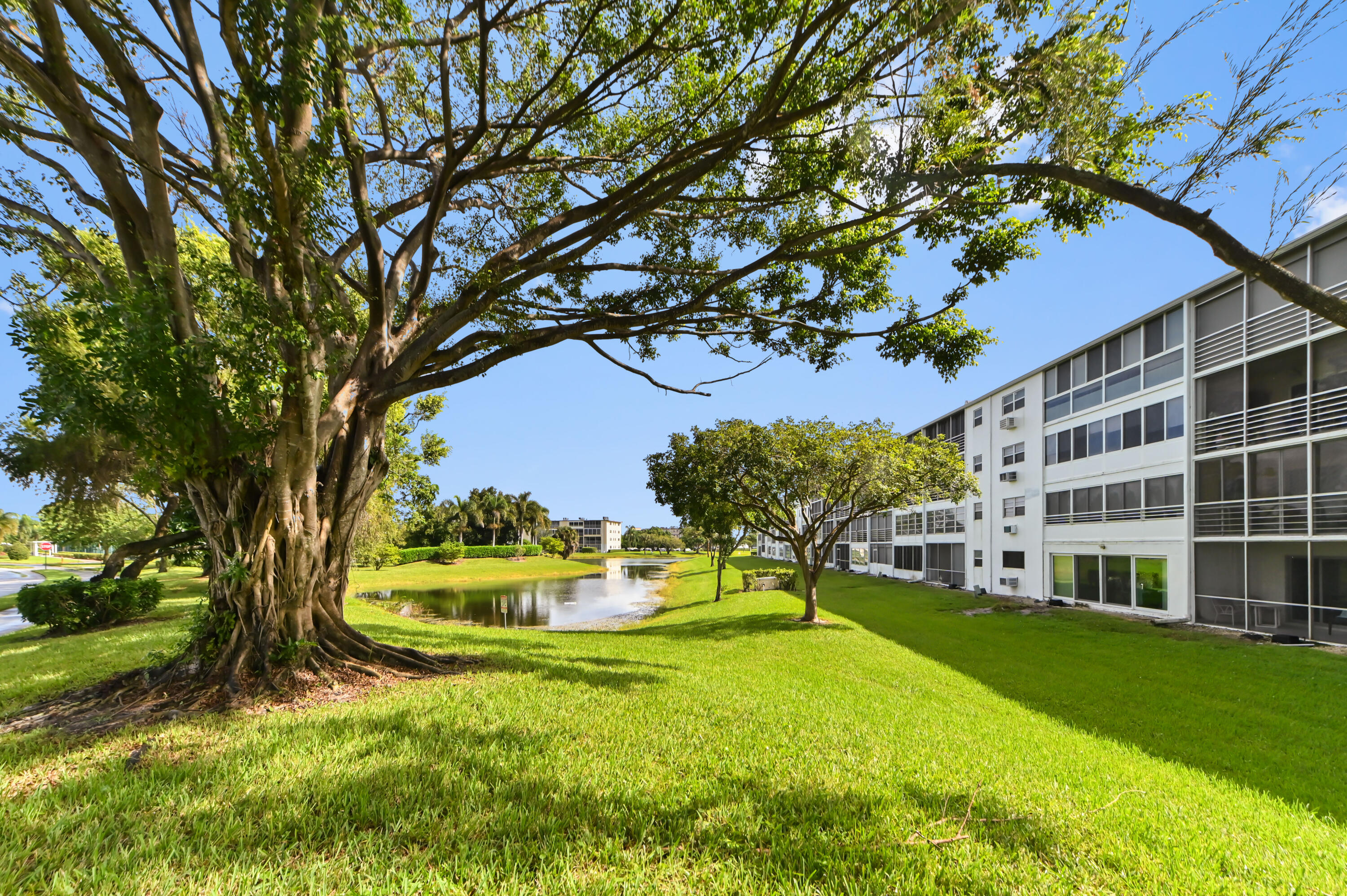 21 Rear grounds