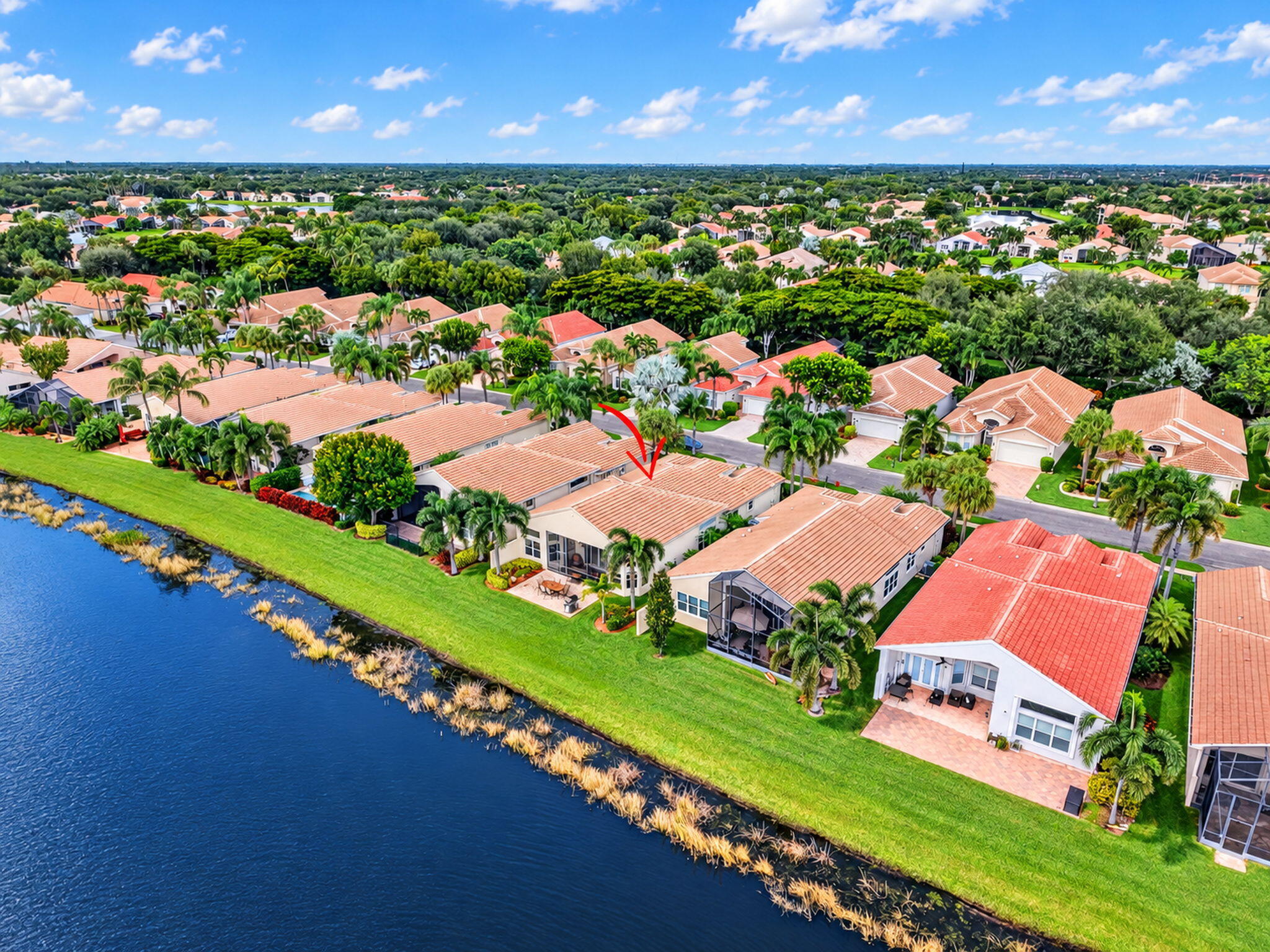 Waterfront property featuring a tile roof, paved patio, and established tropical landscaping