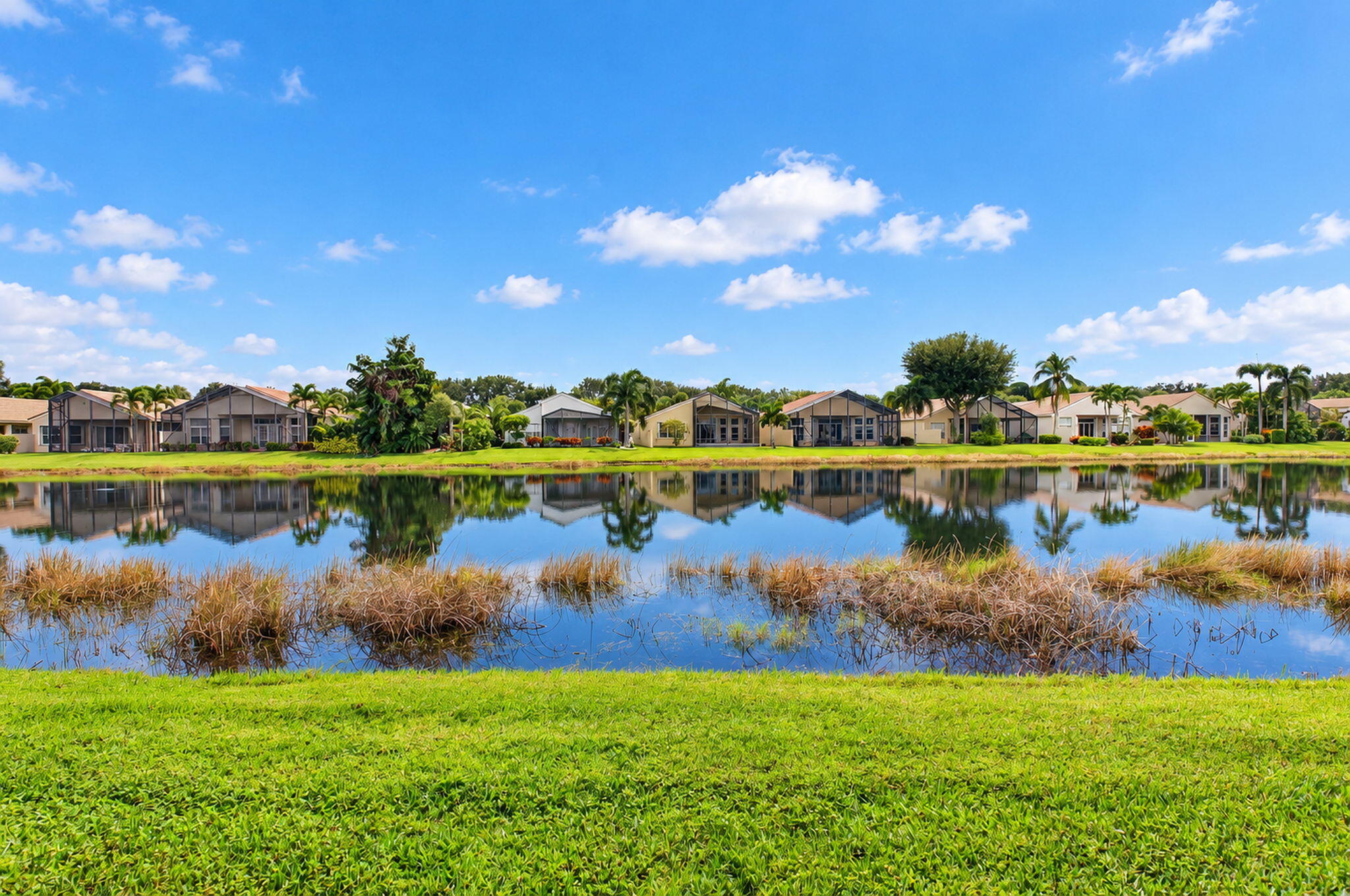 Waterfront property featuring a manicured lawn, established landscaping, and palm trees