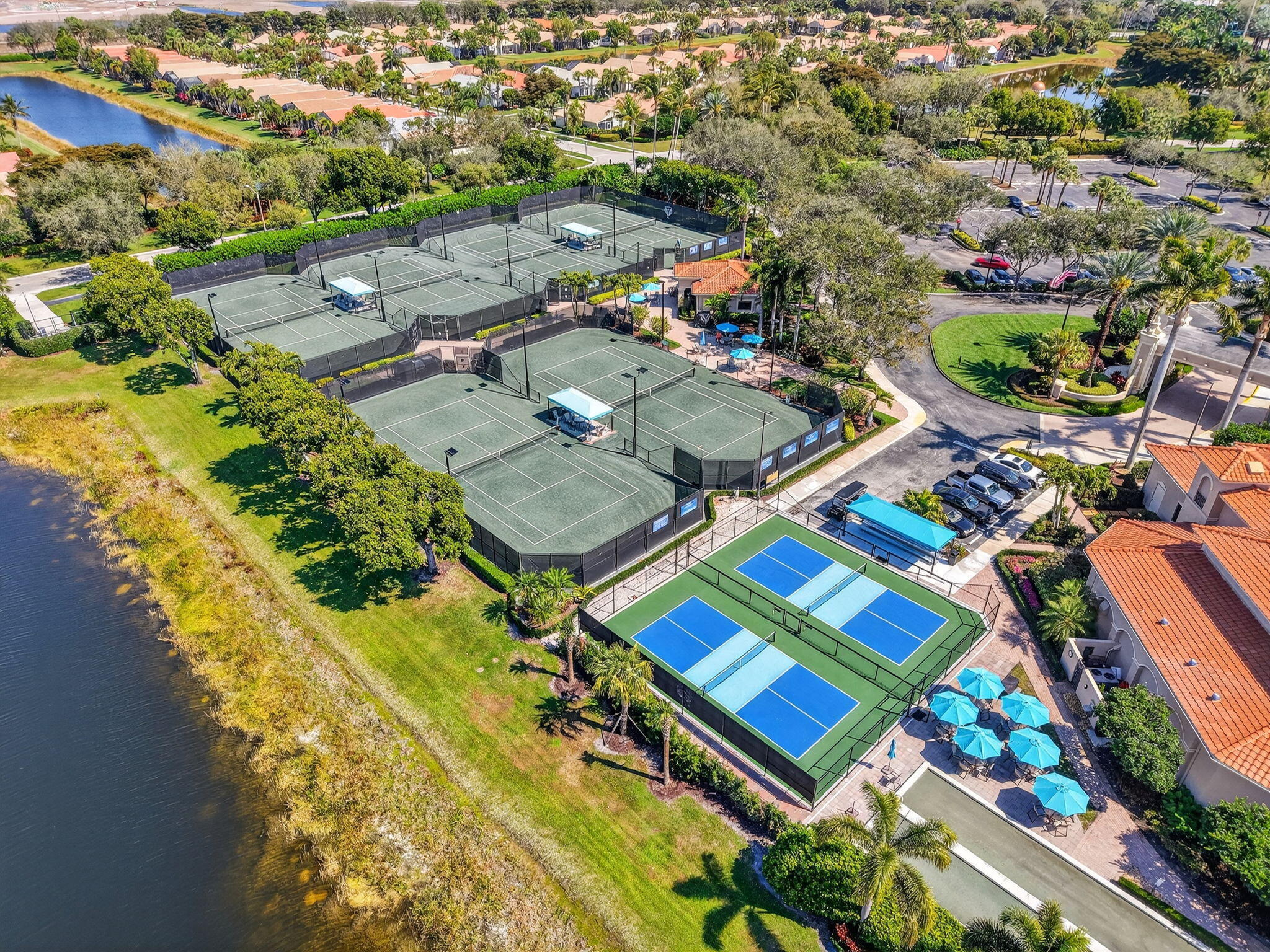 New Pickleball