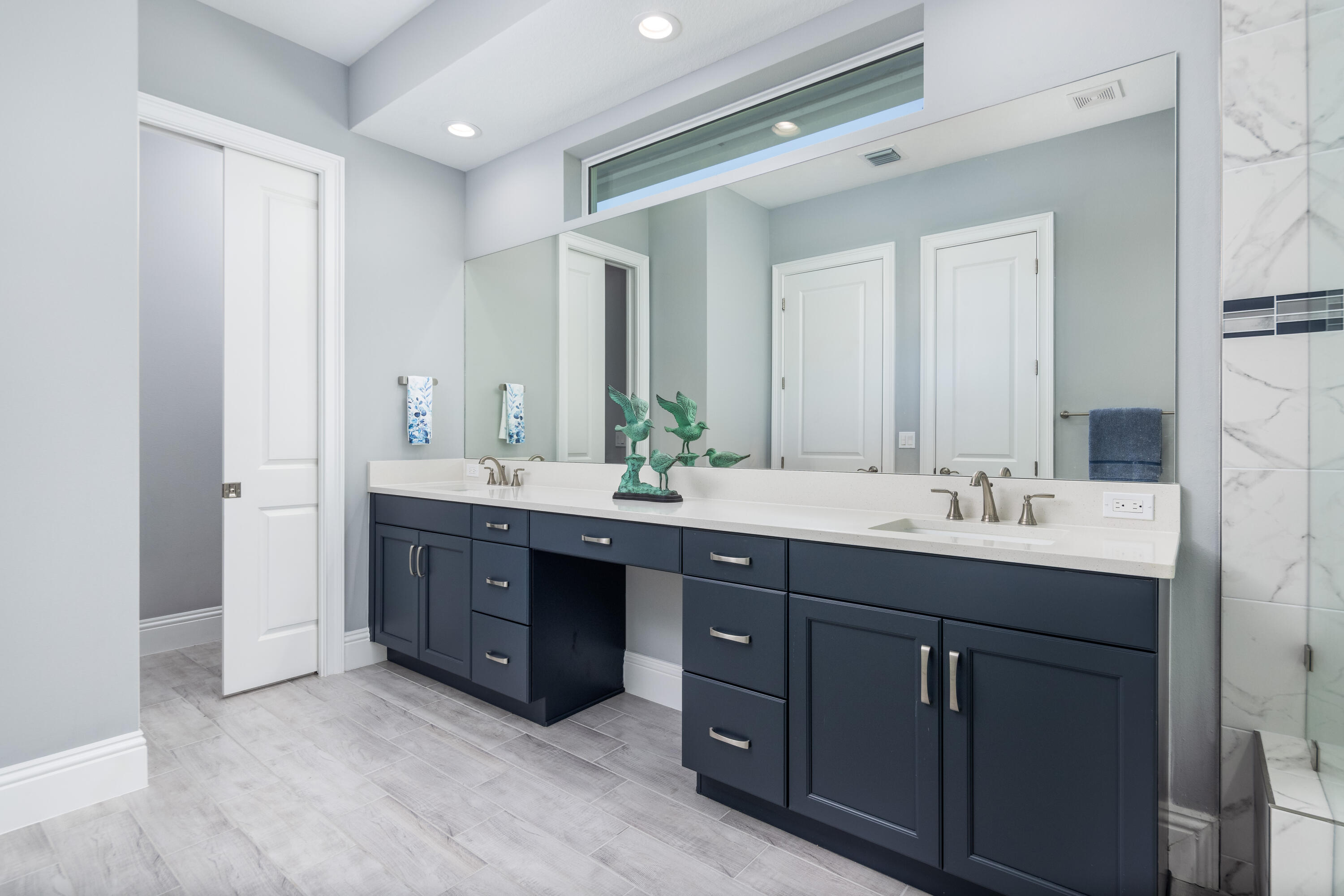 Primary Vanity
