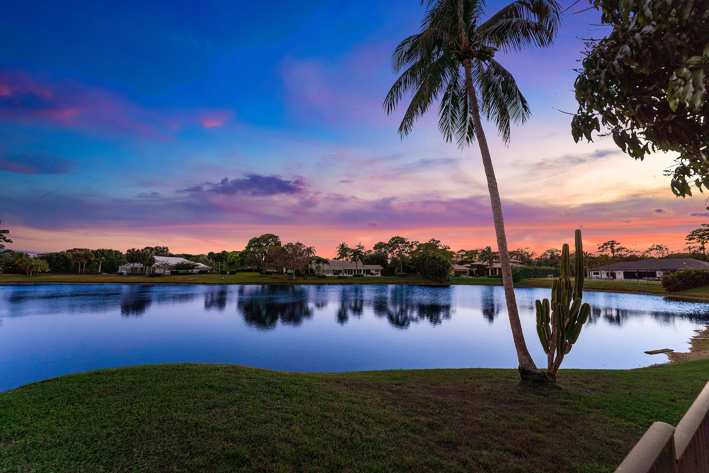 Twilight View