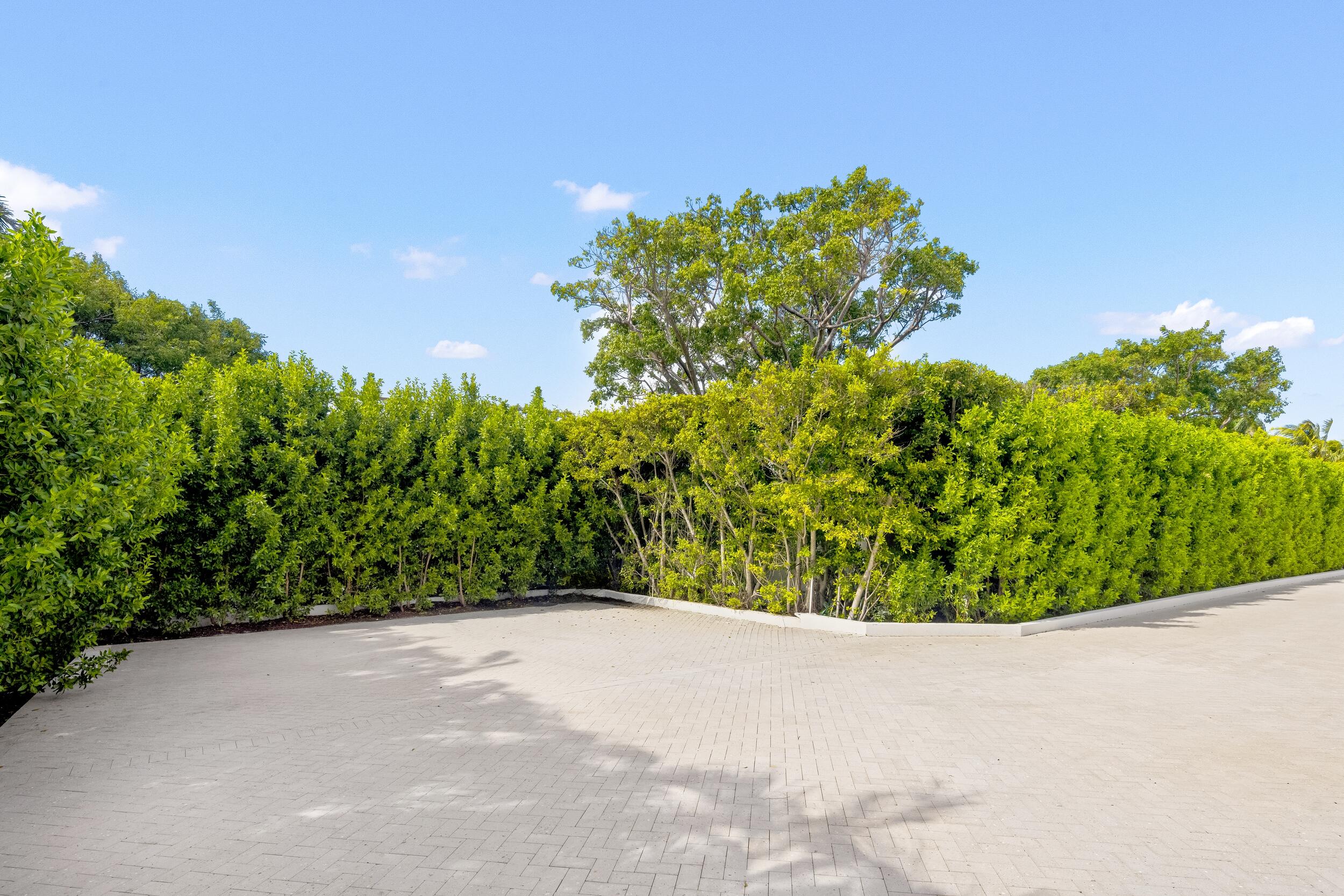 Driveway