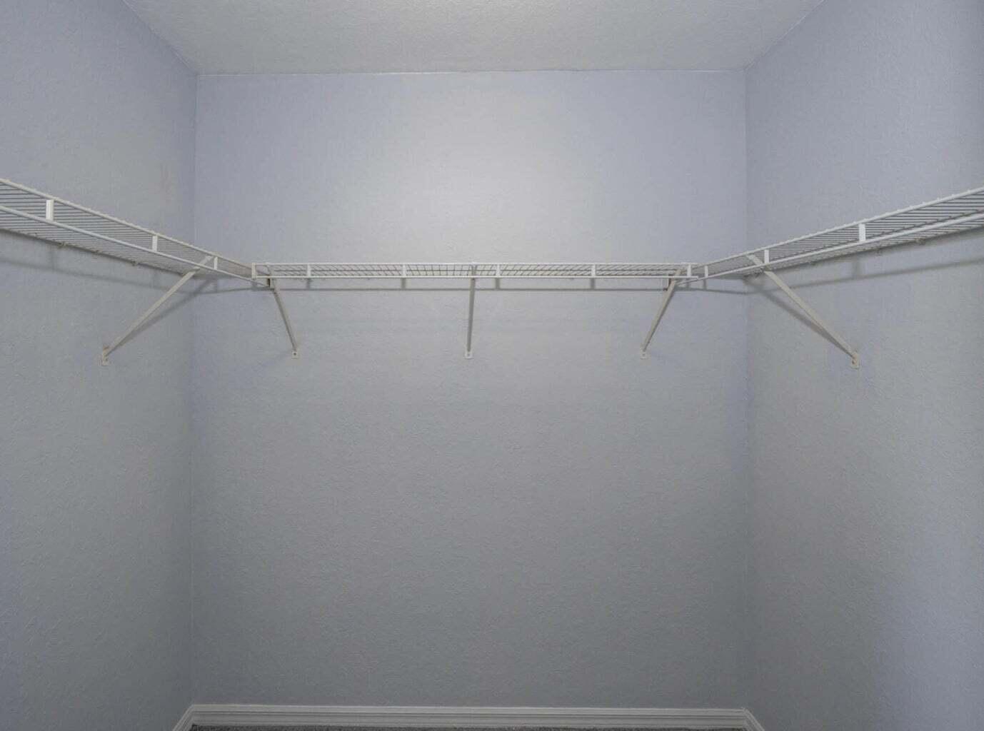 Bell Isle Walk in closet primary