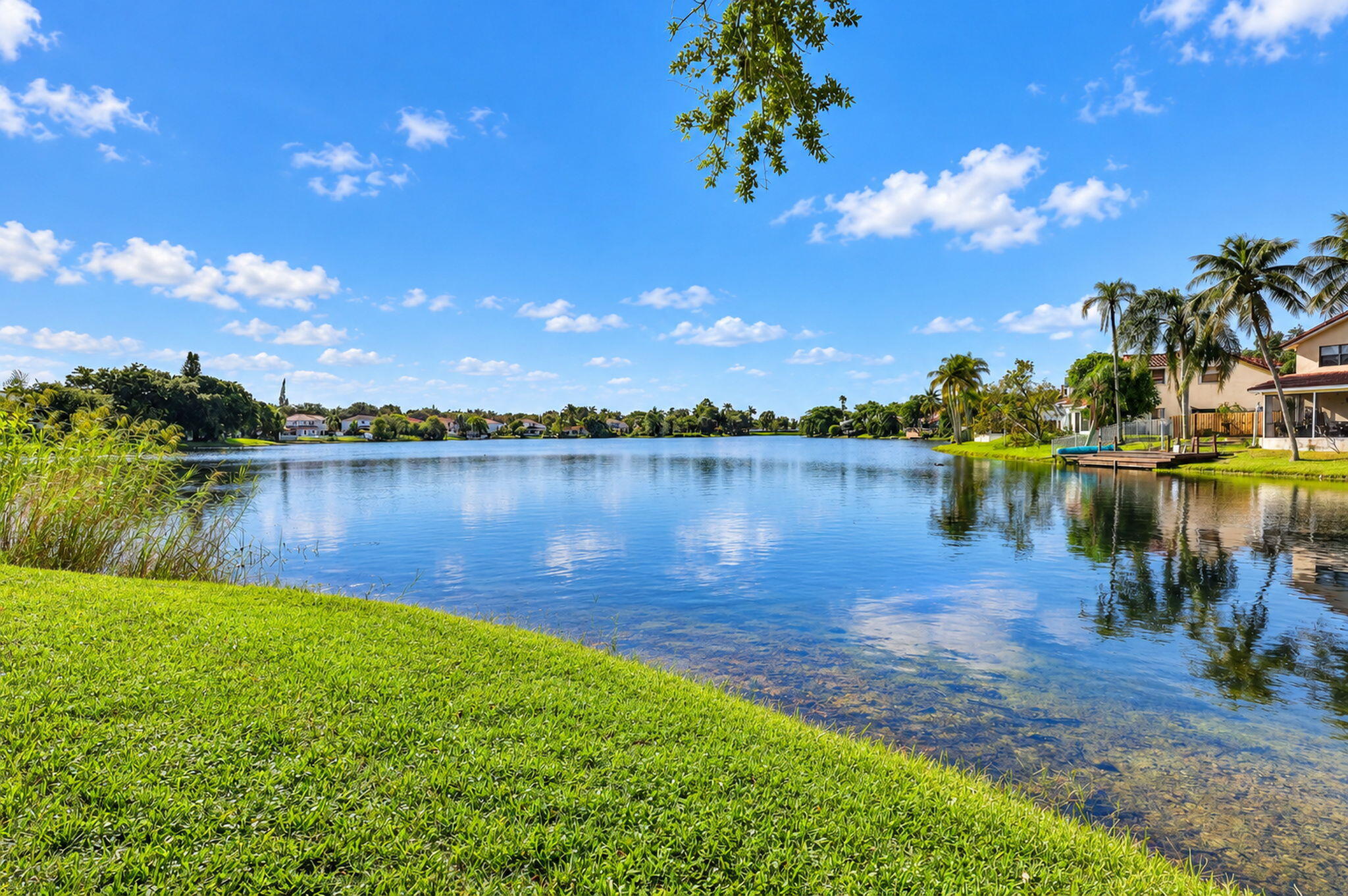 24-web-or-mls-8H3A2677