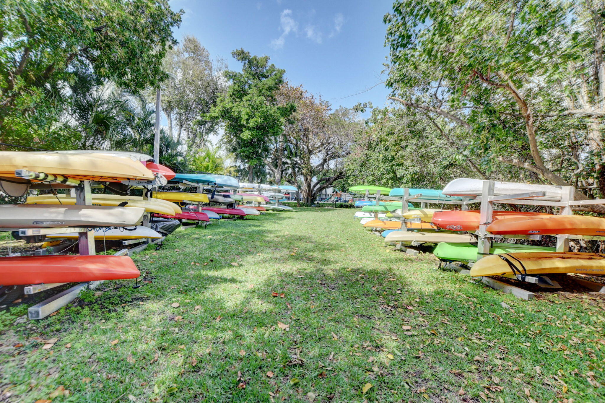 Kayaks