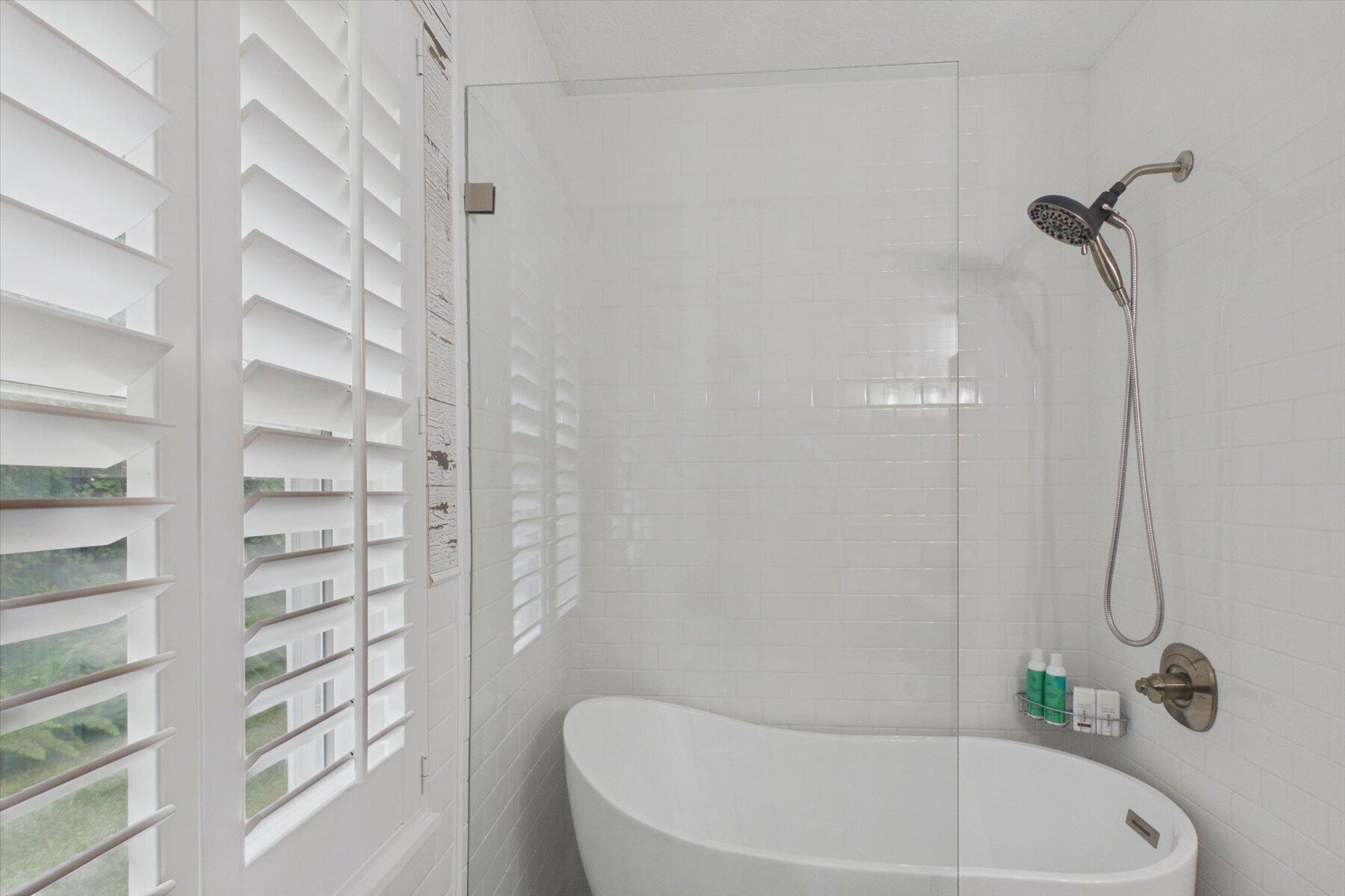 3rd Bath Shower with Soaking Tub