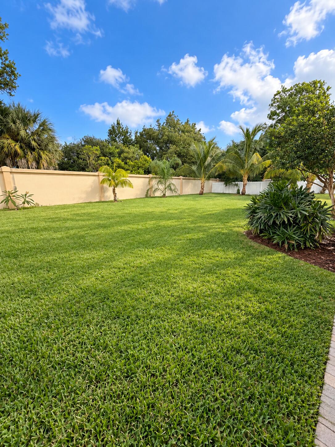 Yard2