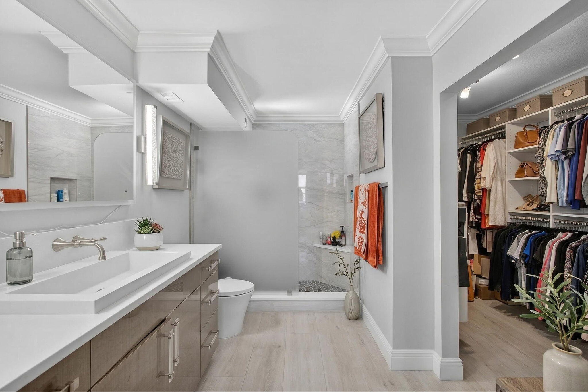 18-web-or-mls-5D1A1212