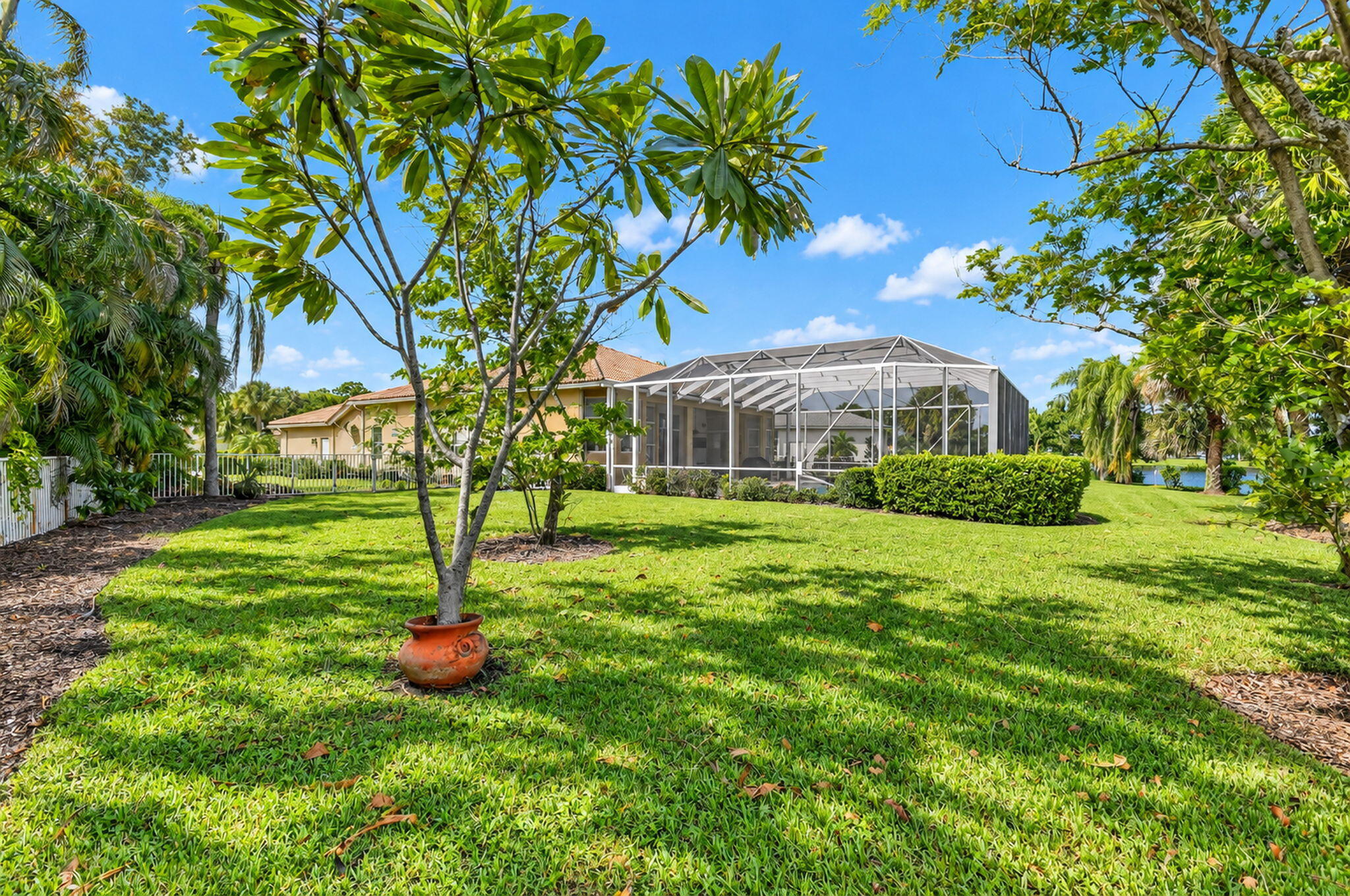 45-web-or-mls-DSC_6549(2)