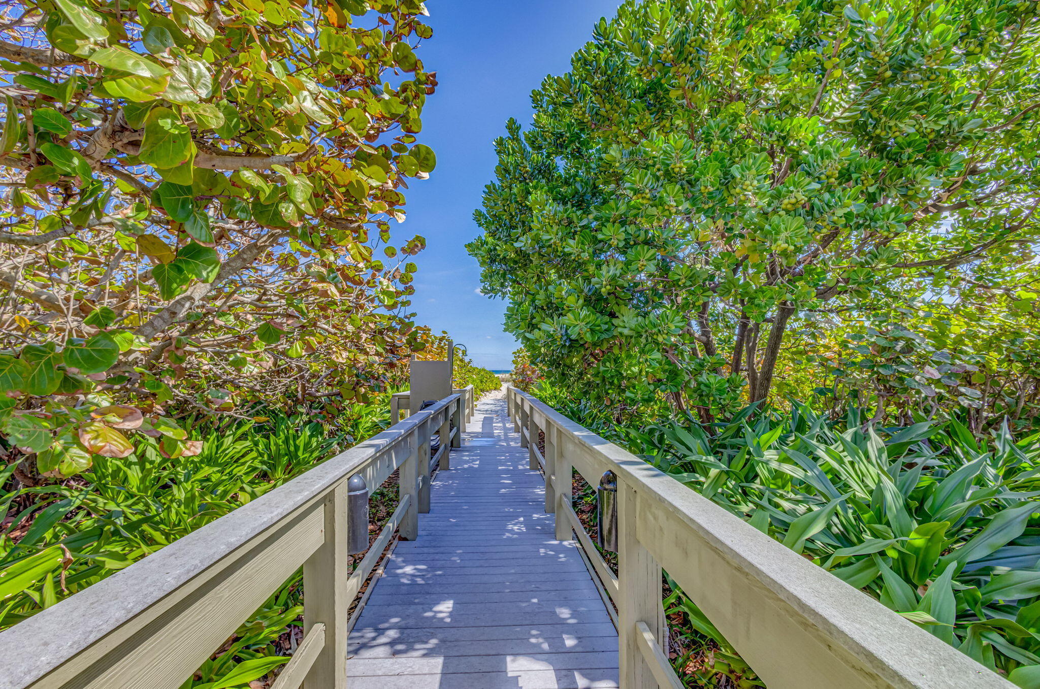 68-web-or-mls-96-print-72-web-or-mls-64-