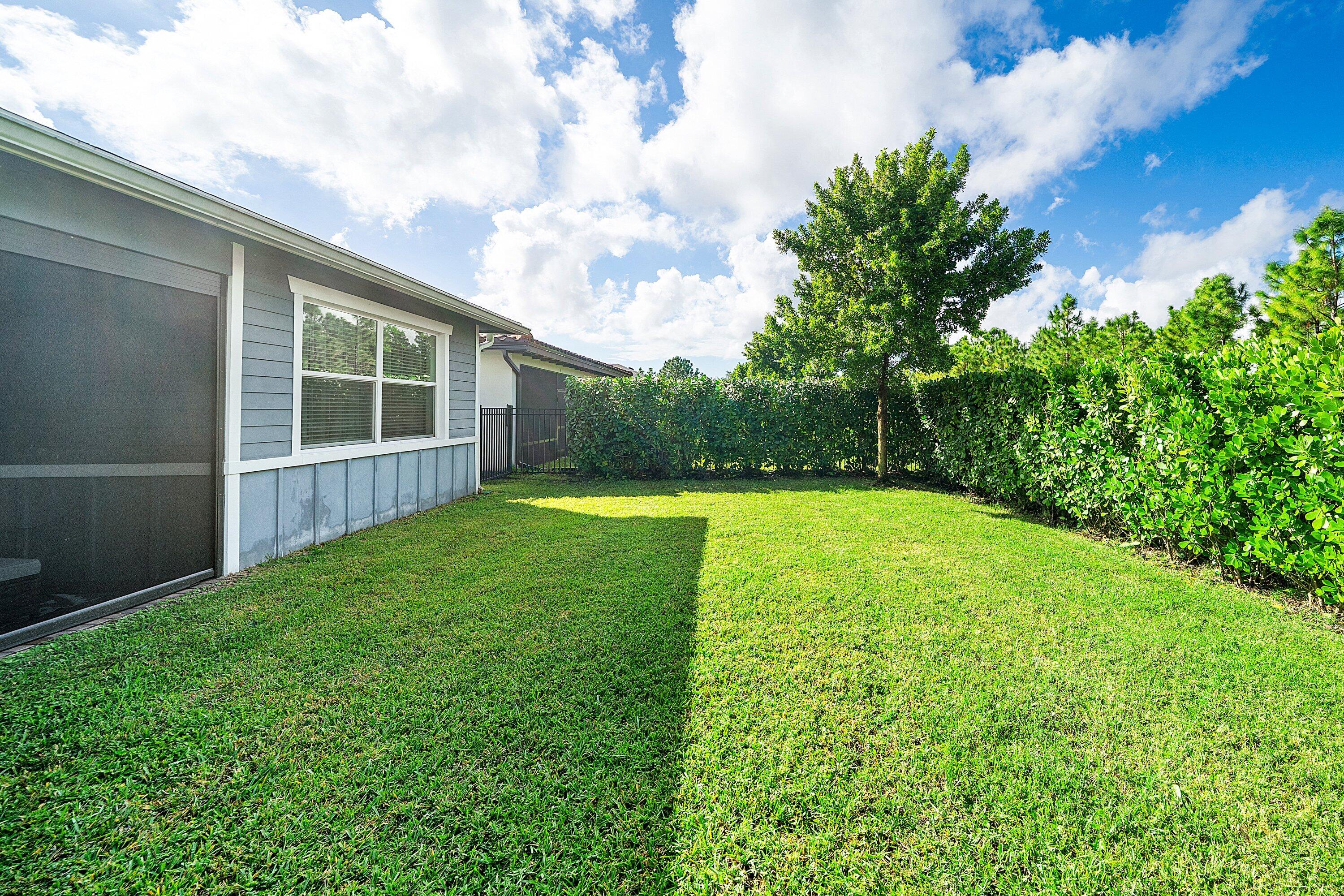 Back yard