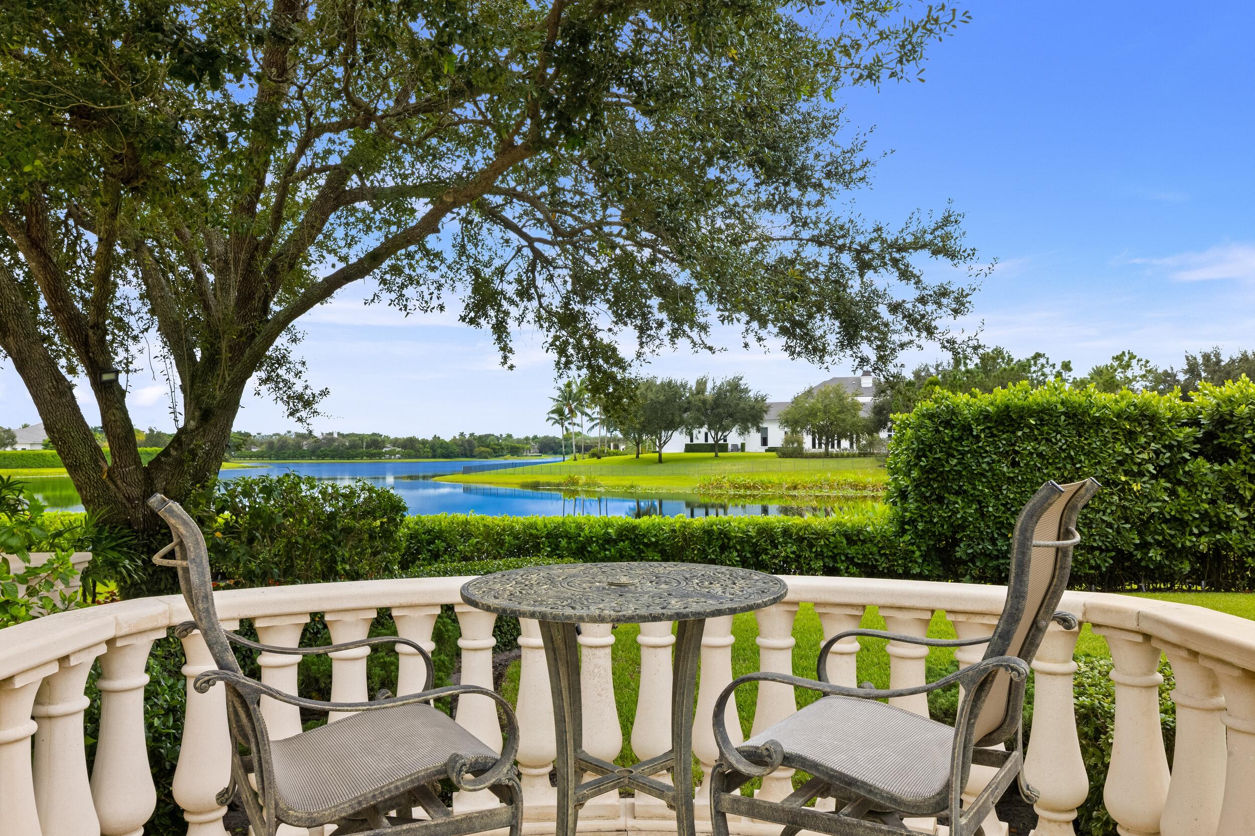 Backyard View