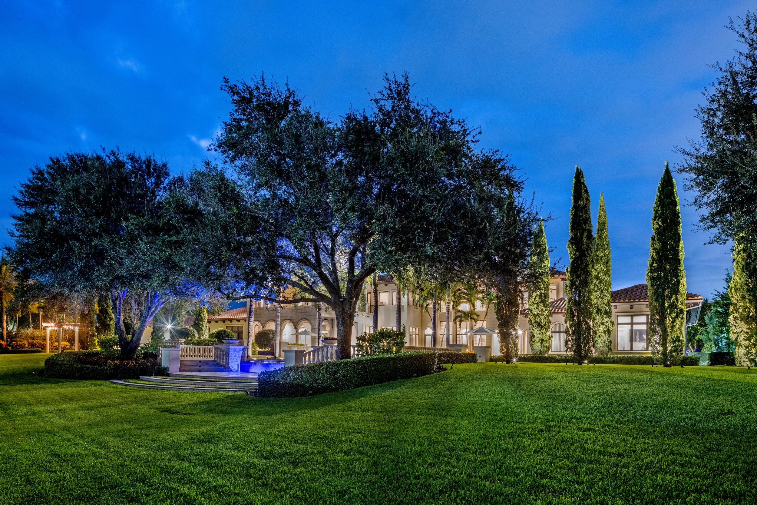 Twilight Backyard