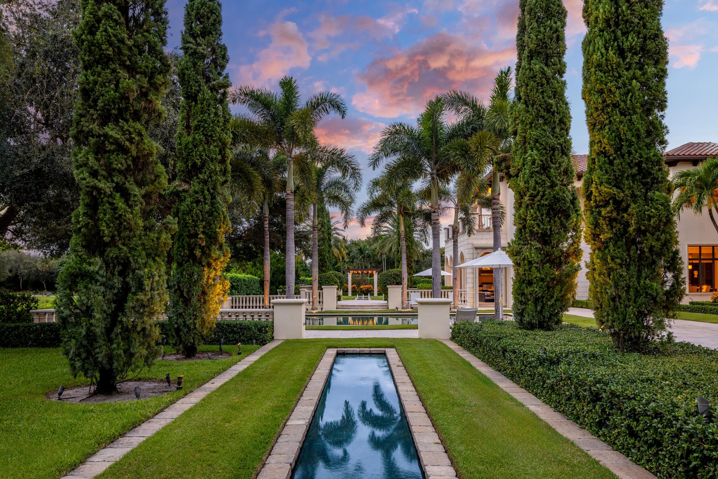 Twilight Backyard