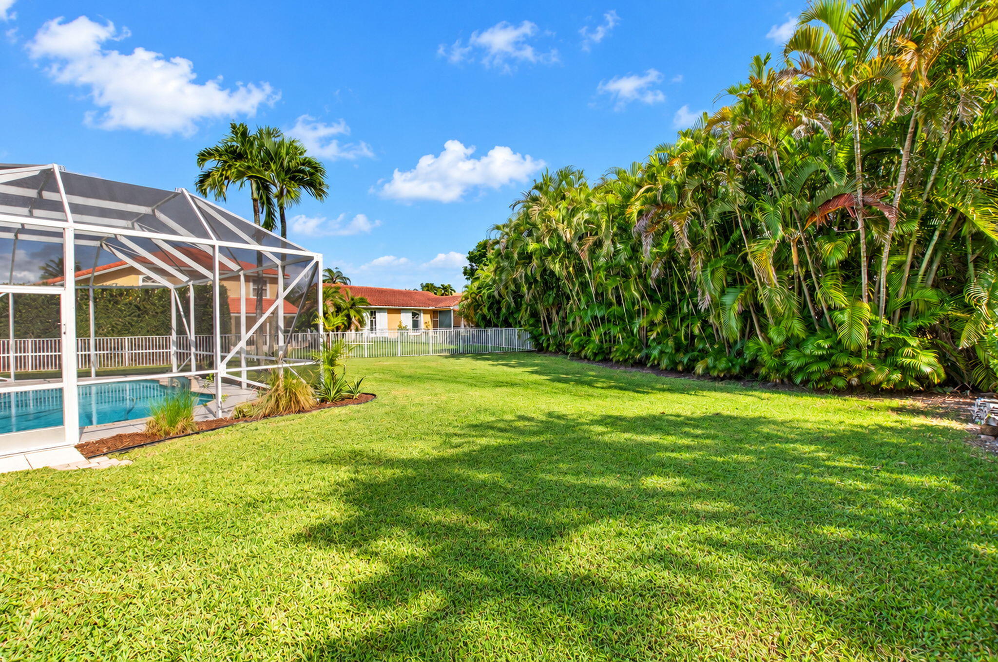 54-web-or-mls-DSC_7840