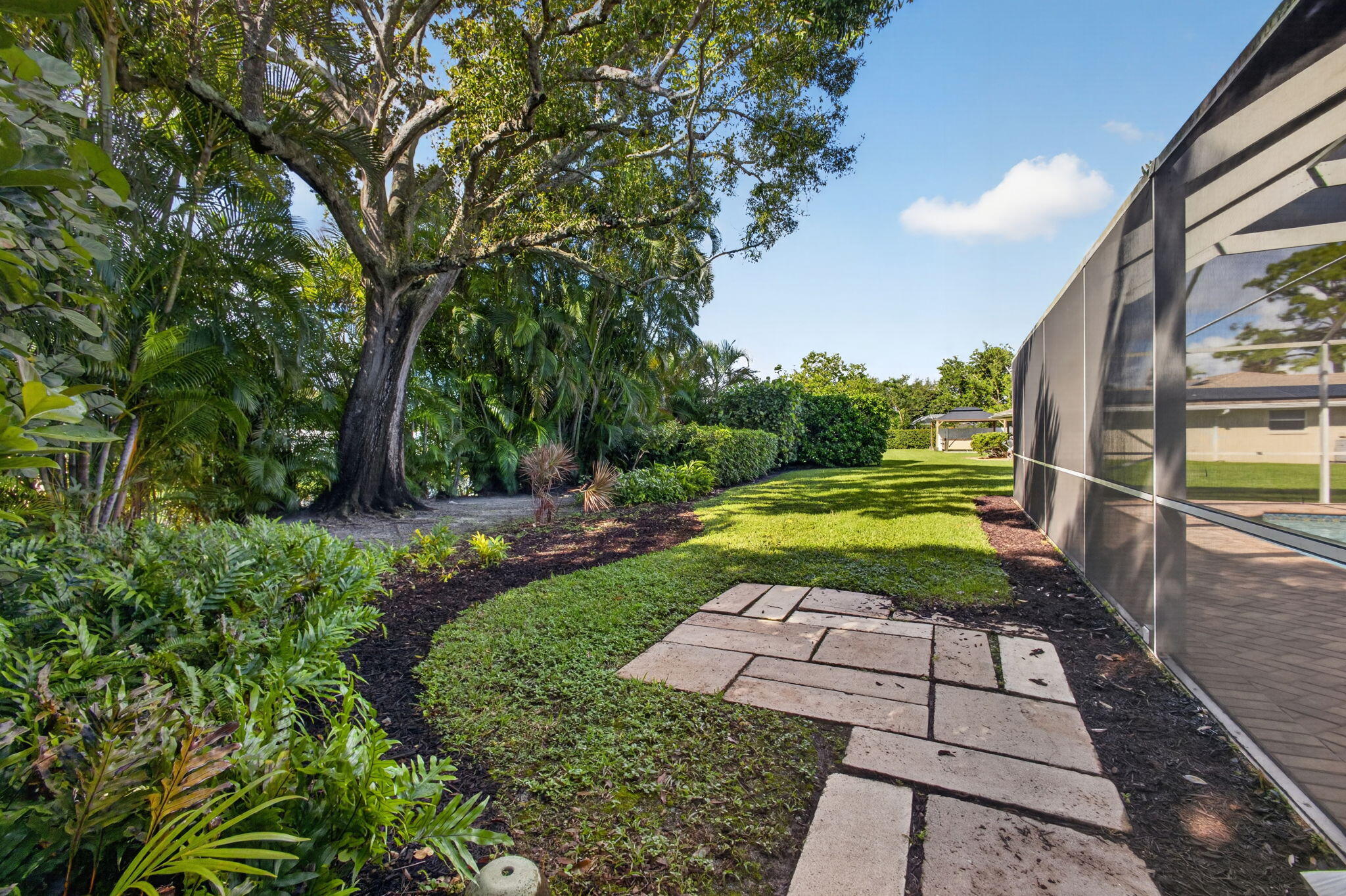 Backyard