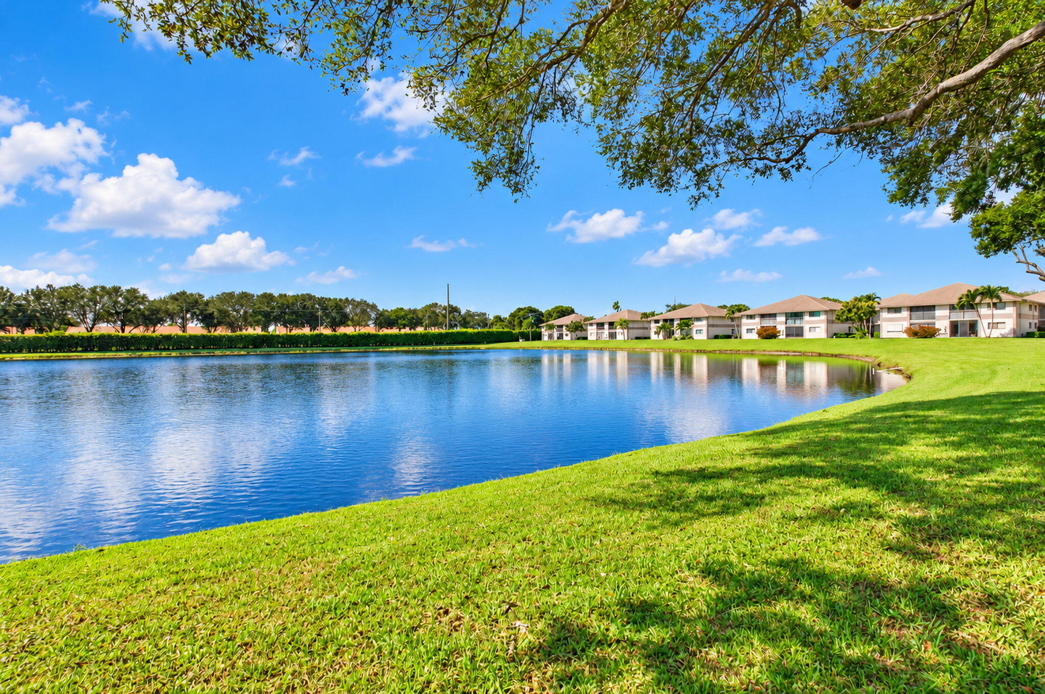 32-web-or-mls-DSC_4785