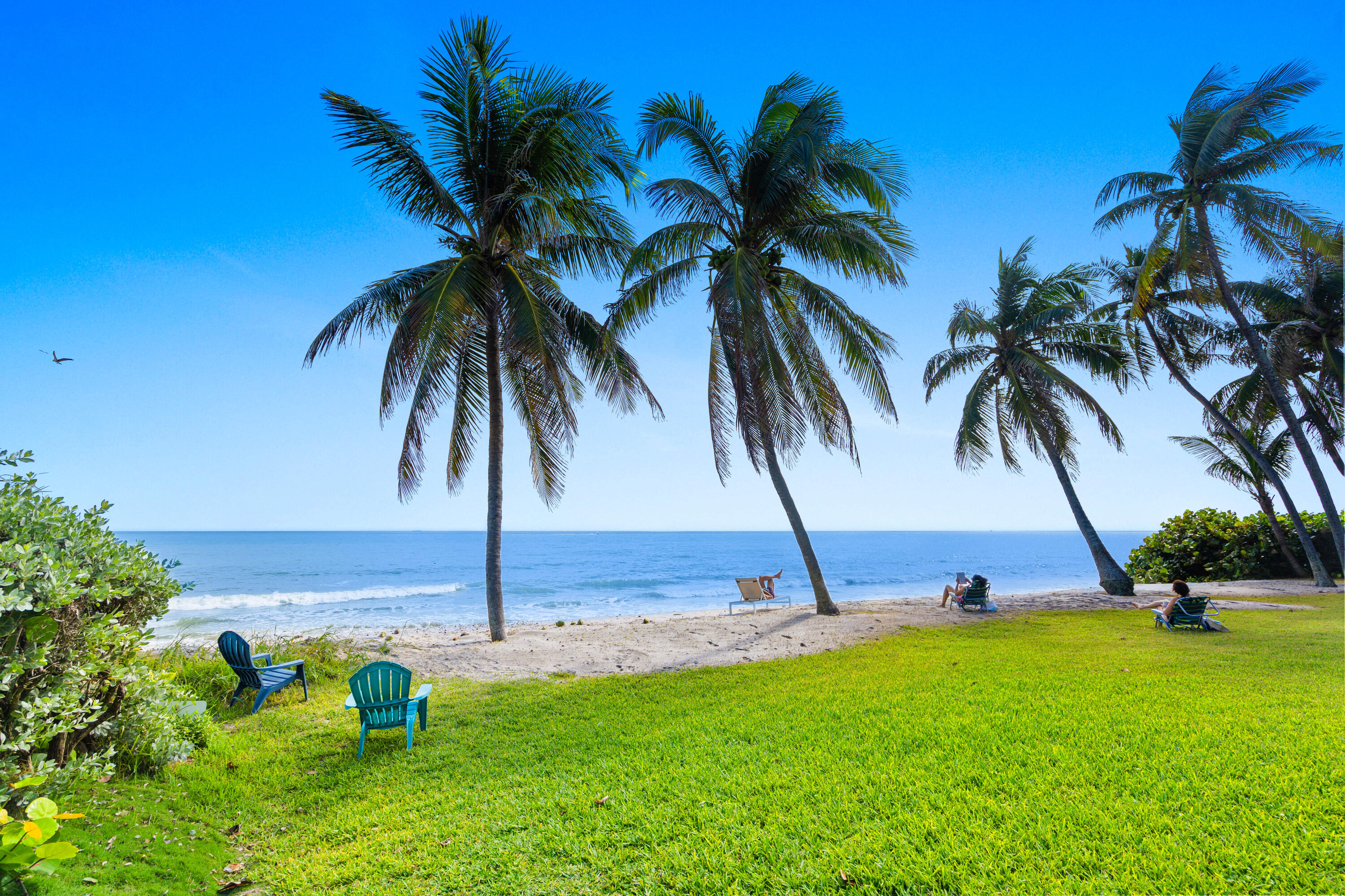 OCEAN VIEW