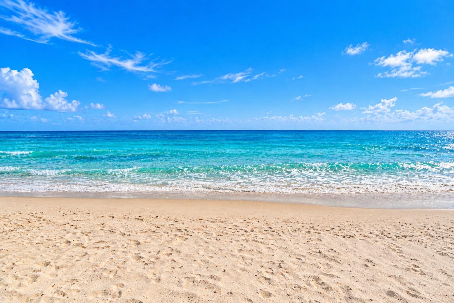 OCEAN