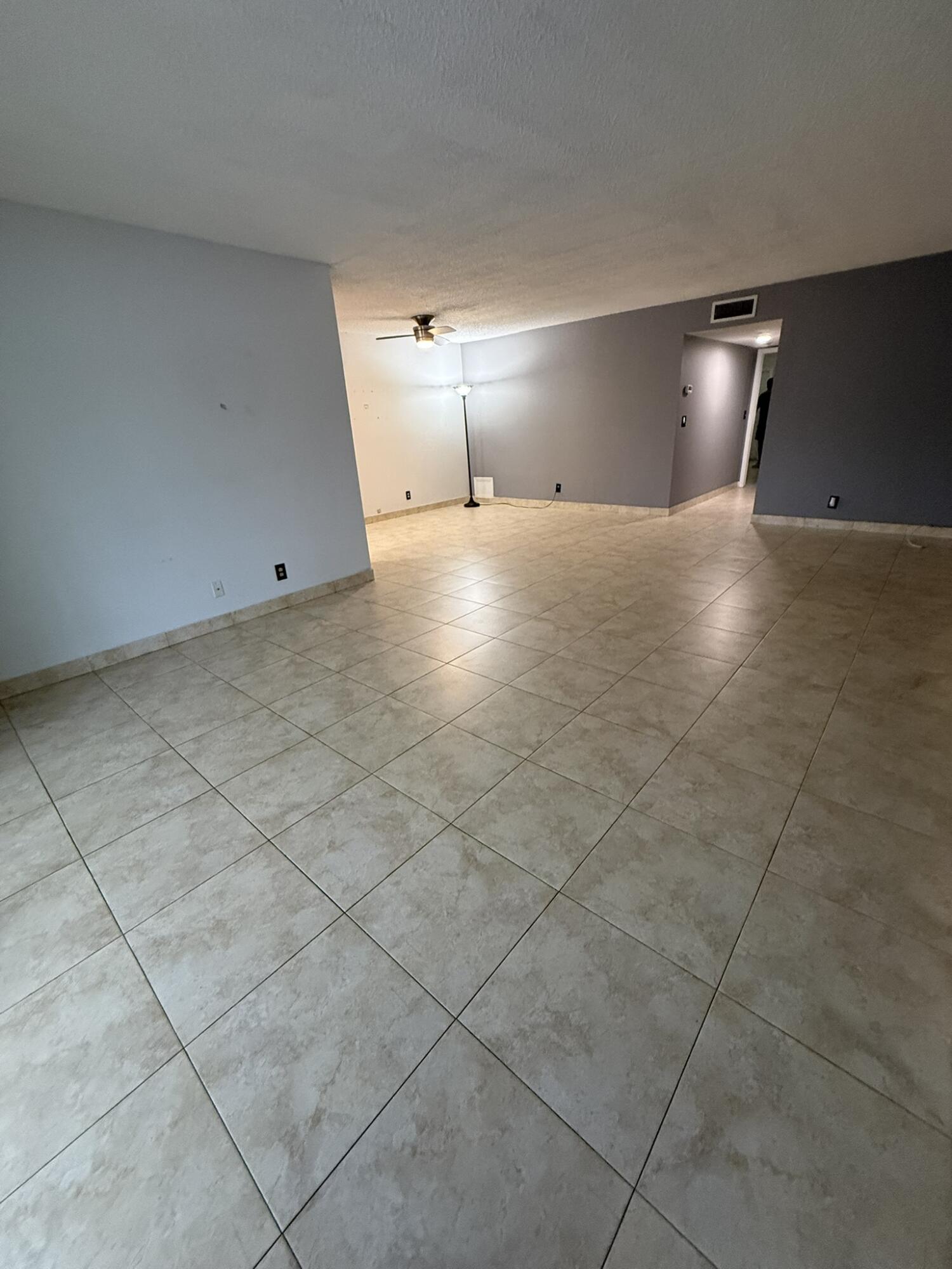 Large living room