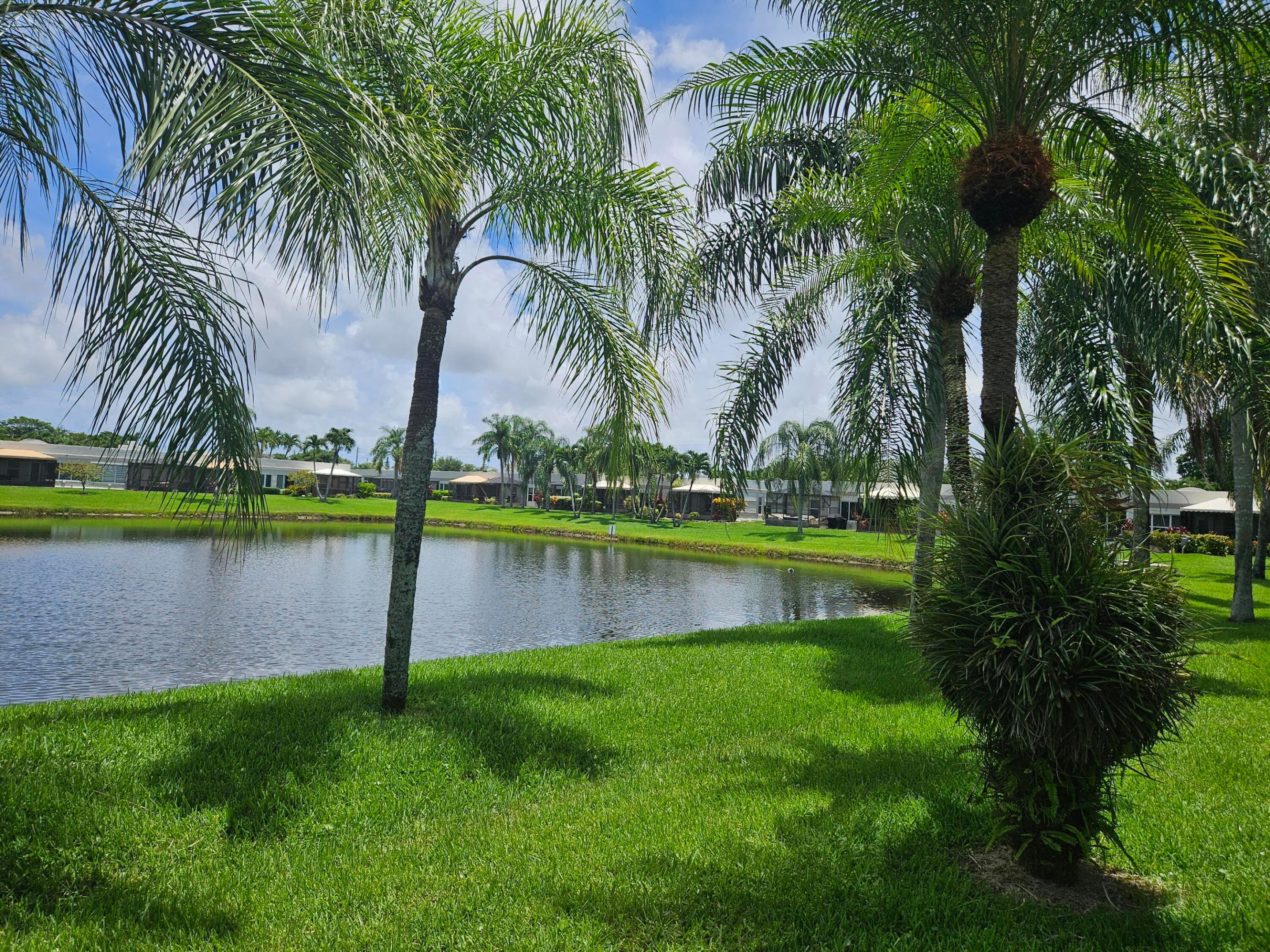 Back Water view 2