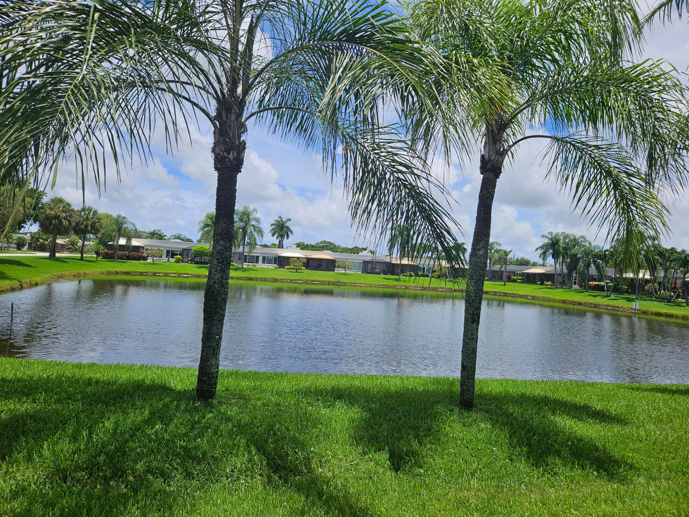 water view