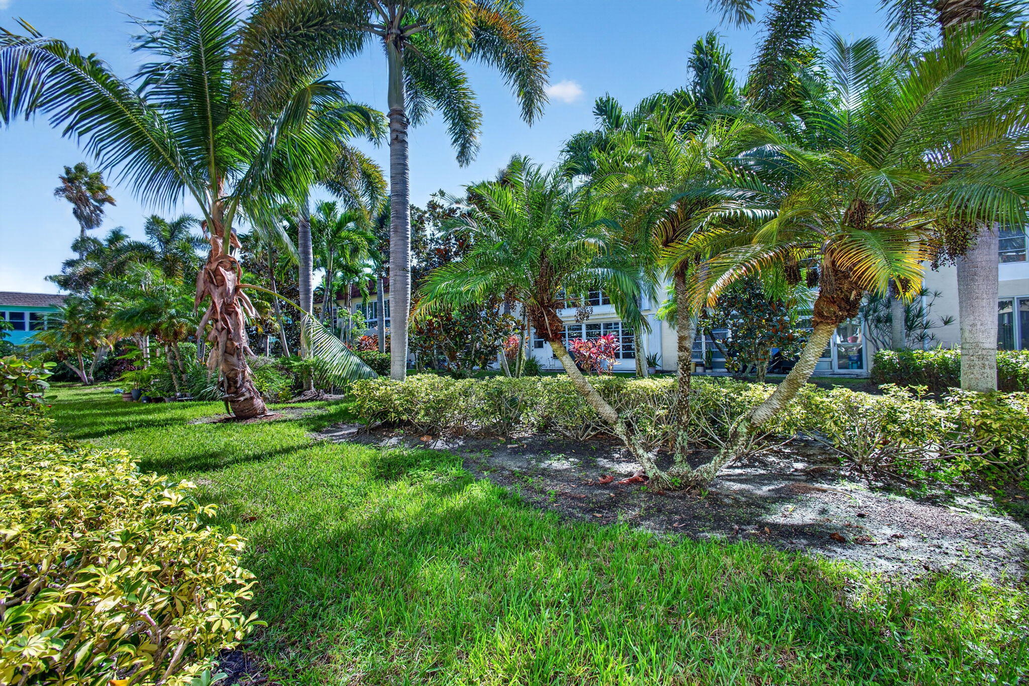 Lush tropical landscaping surrounds the community