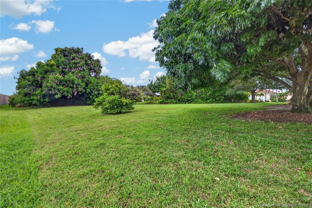 Photo 35