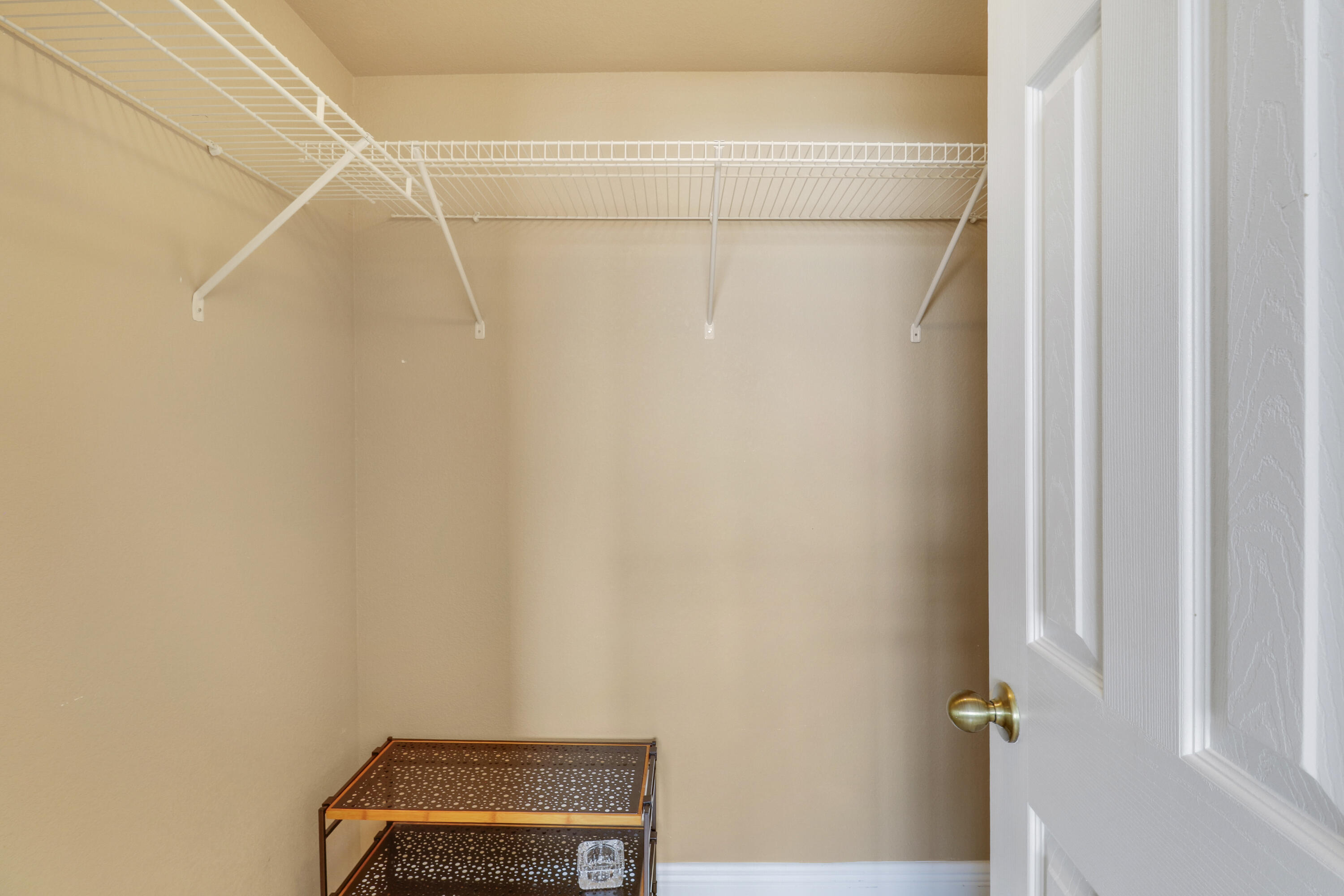Bedroom #2 Walk-in Closet